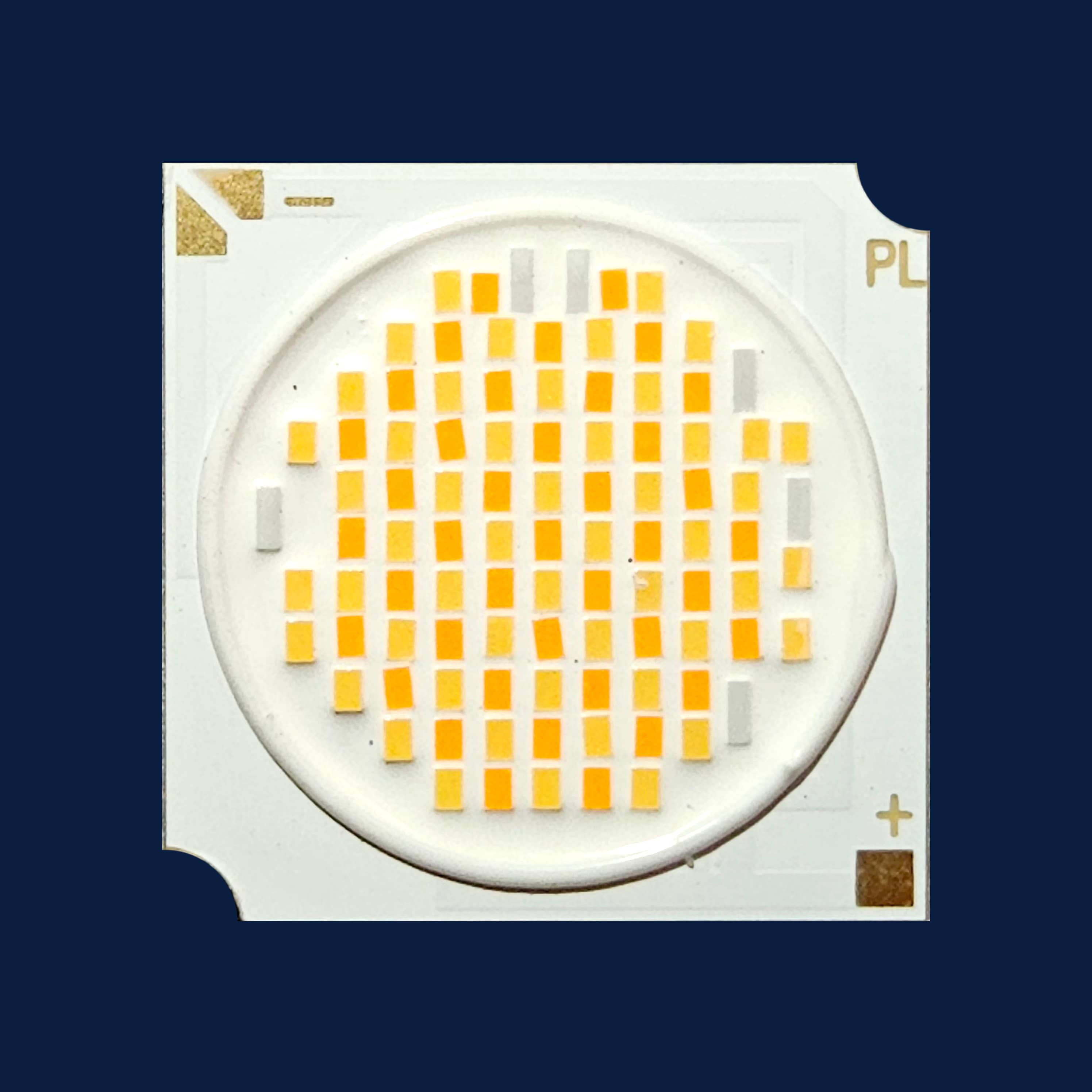 PL-1919-W